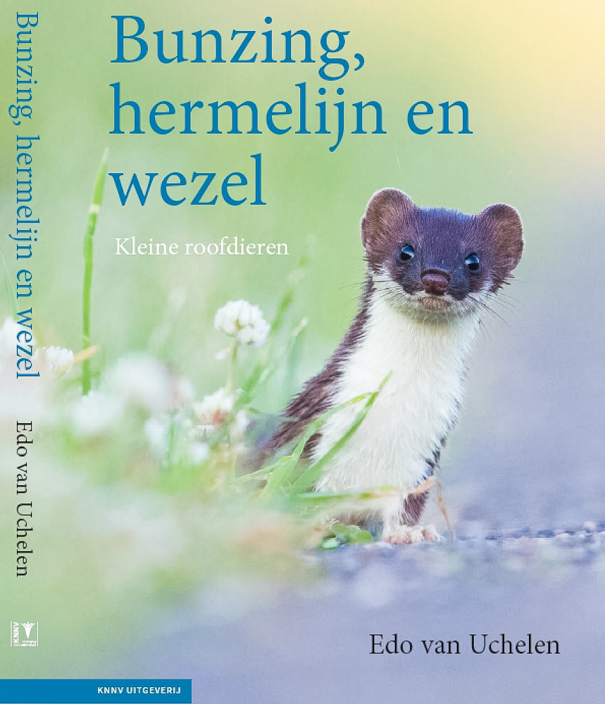 marteropvang marterstichting 3 van 5